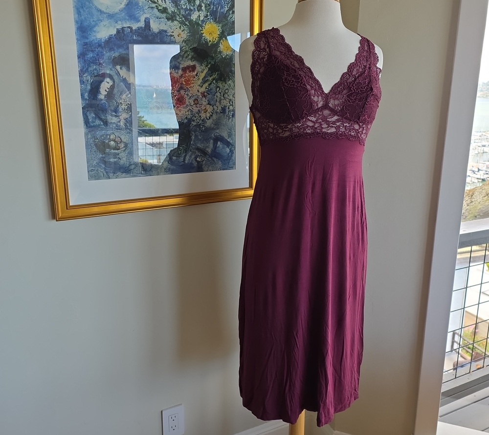 European Lace-Detail V-Neck Chemise in Deep Wine